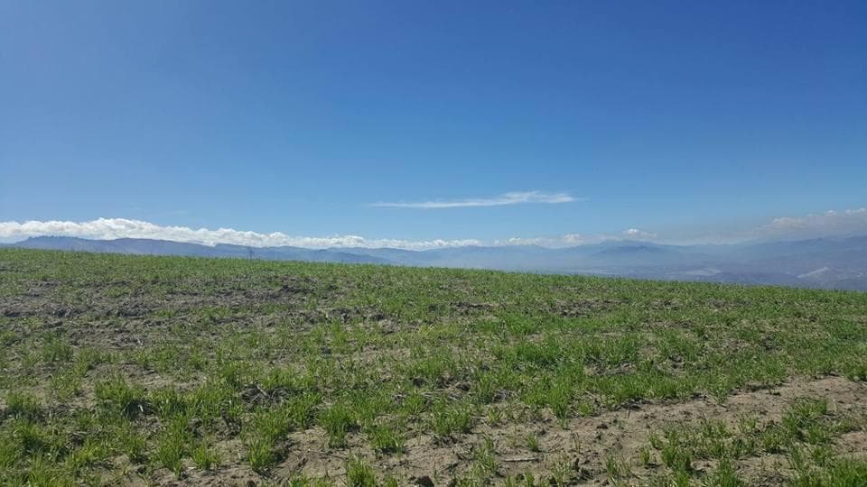 Terreno en venta en Pedro Moncayo, Pichincha