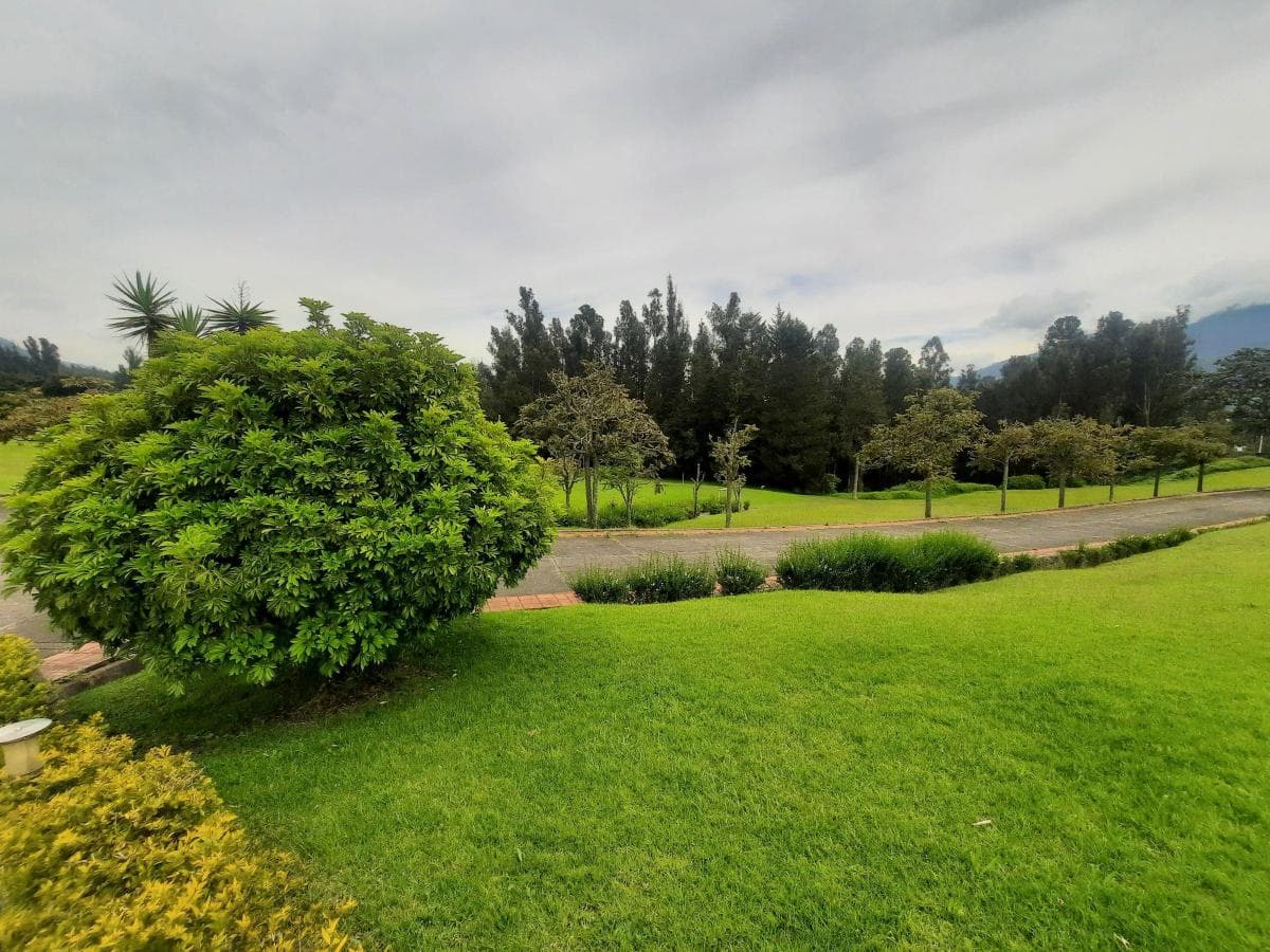 Propiedad en venta en Quito, Pichincha