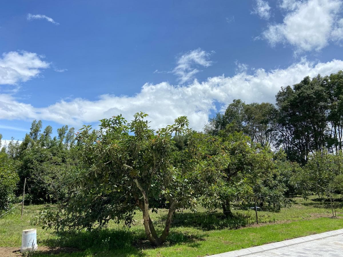 Propiedad en venta en Quito, Pichincha