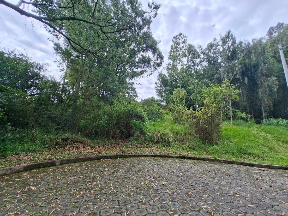 Terreno en venta en Quito, Pichincha