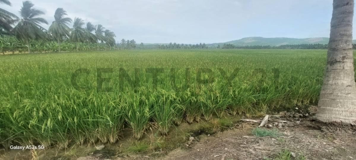 Terreno en venta en Portoviejo, Manabí