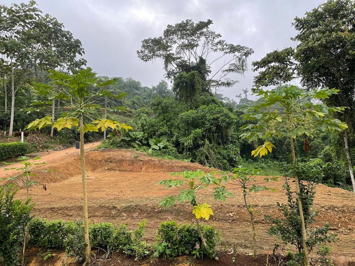 Terreno en venta en Pedro Vicente Maldonado, Pichincha
