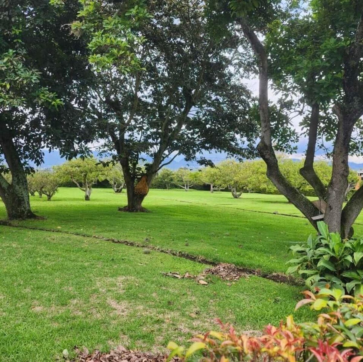 Terreno en venta en Quito, Pichincha