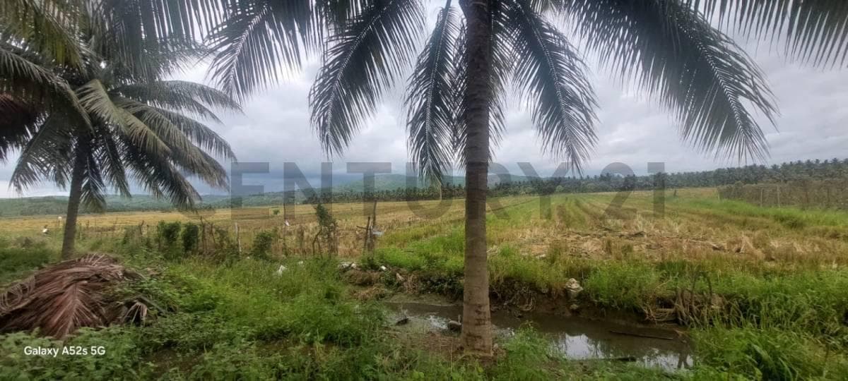 Terreno en venta en Portoviejo, Manabí