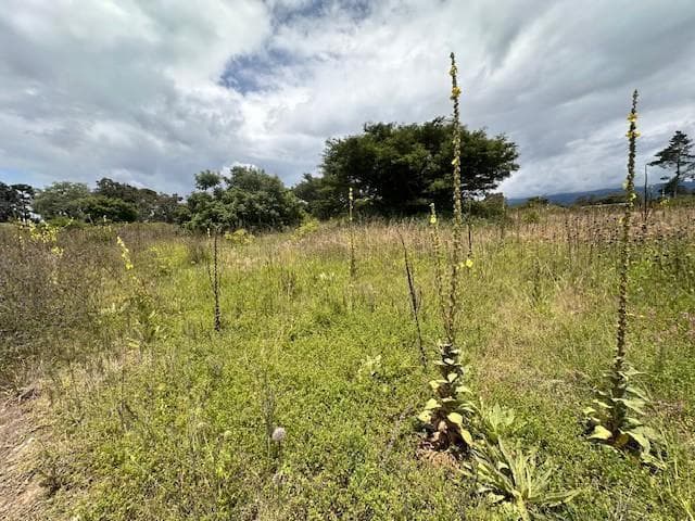 Terreno en venta en Quito, Pichincha