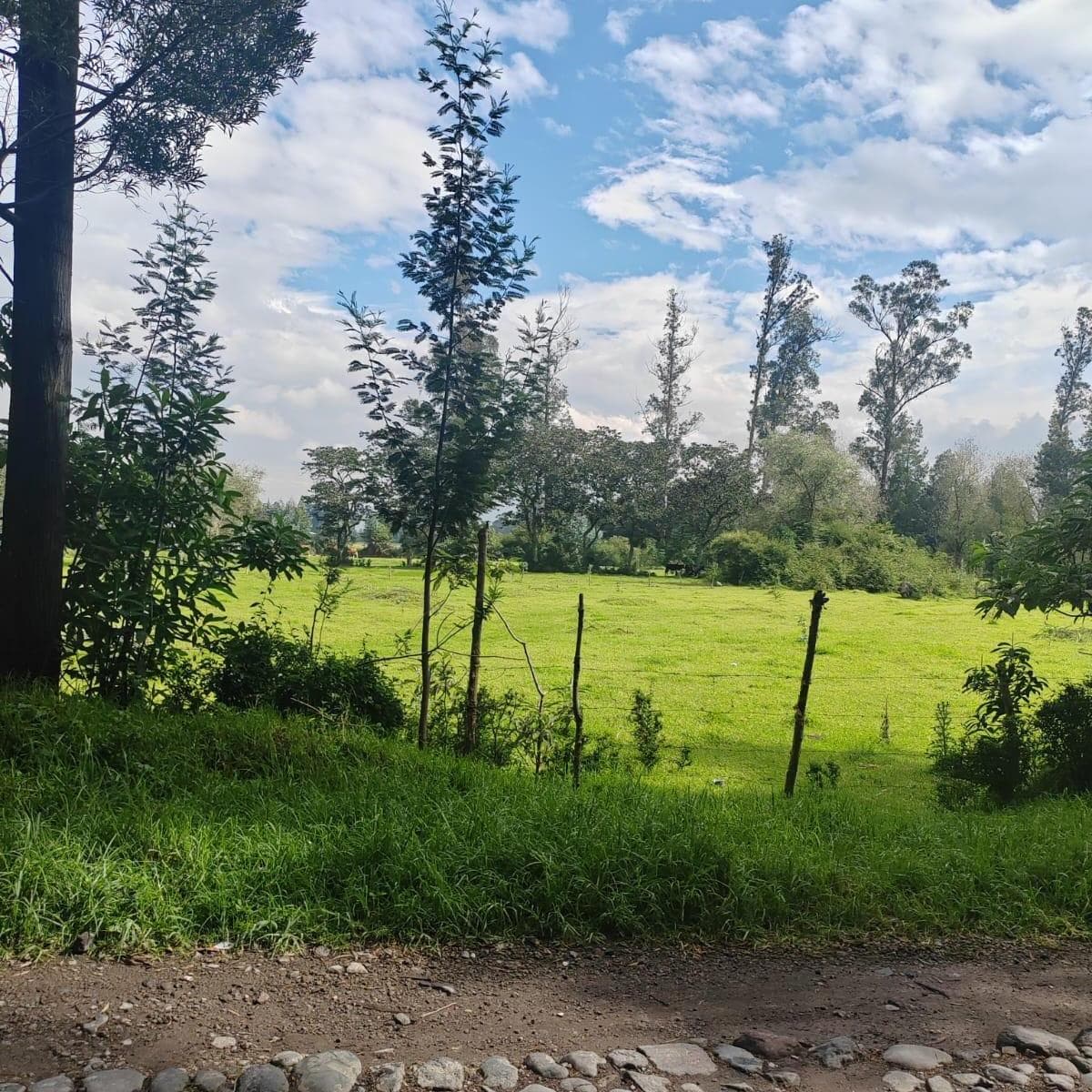 Propiedad en venta en Quito, Pichincha