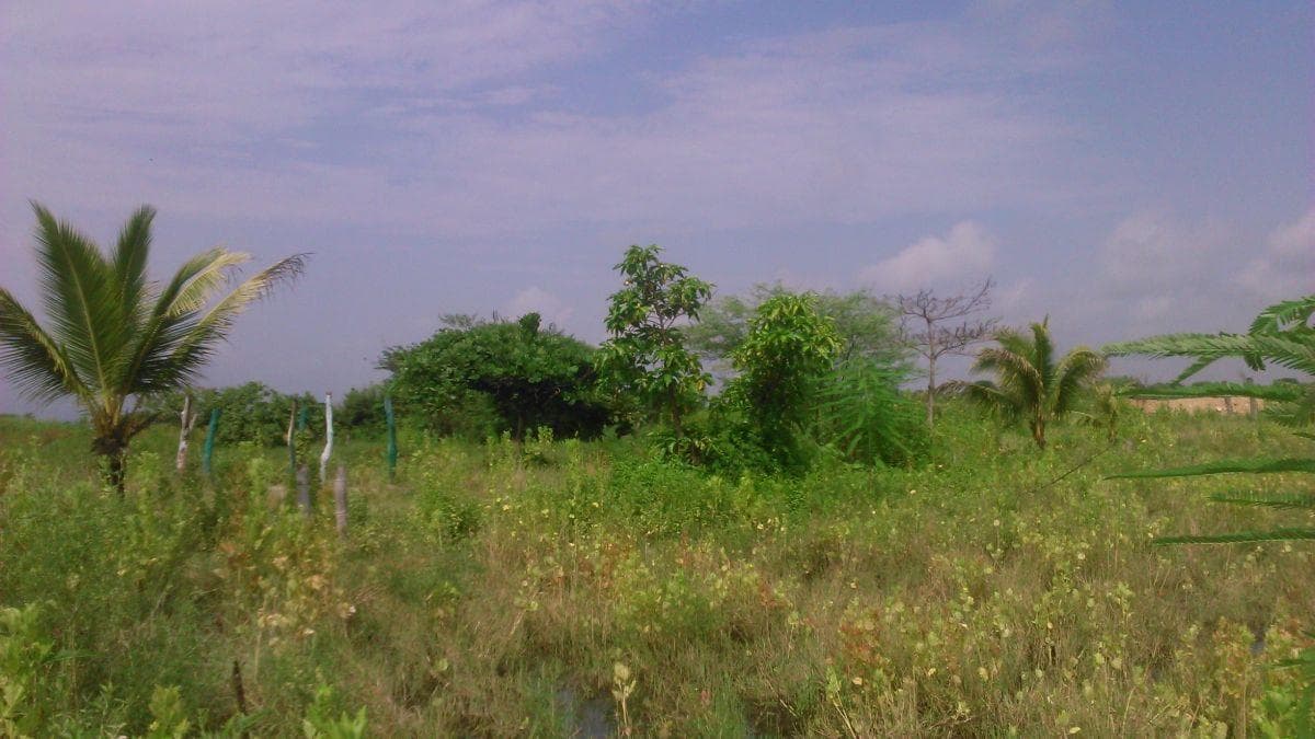 Venta Terreno 50000 m² Alto Impacto en Via Duran Tambo, Guayas — imagen 5