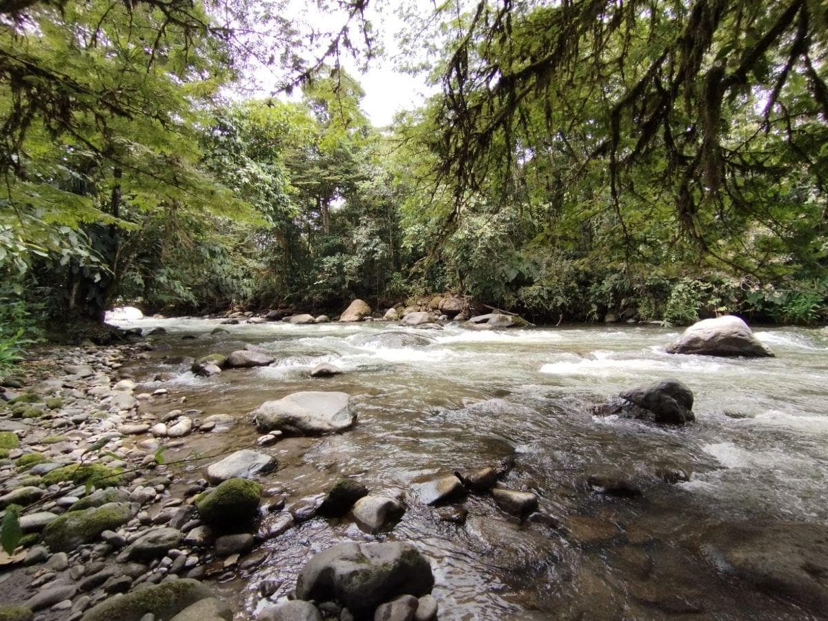 Terreno en venta en Mindo, Pichincha