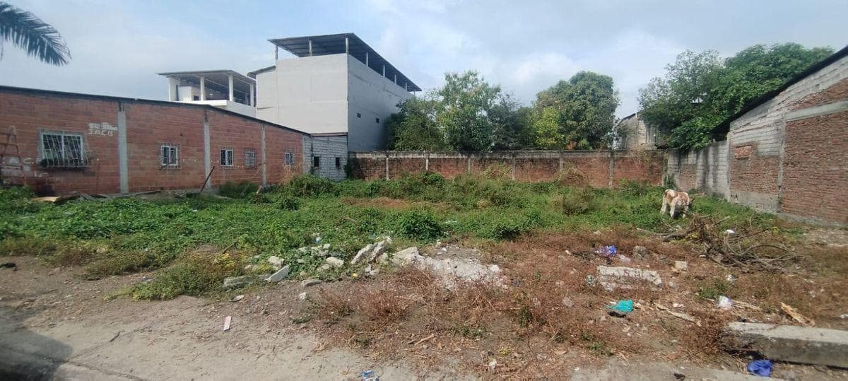 Terreno en Venta Nobol. f. Brito, Guayas — imagen 5