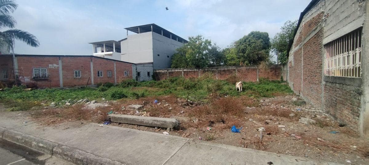 Terreno en Venta Nobol. f. Brito, Guayas — imagen 4