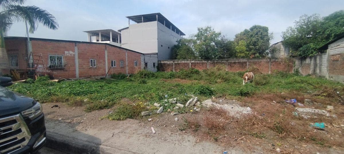 Terreno en Venta Nobol. f. Brito, Guayas — imagen 3