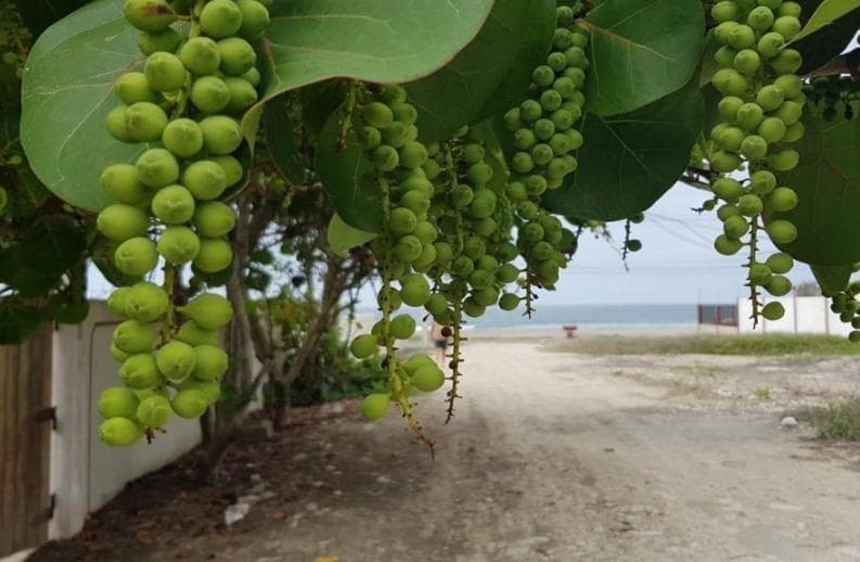 Terreno en venta en Salinas, Santa Elena