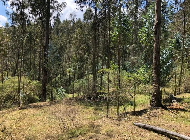 Terreno en venta en Distrito Metropolitano de Quito, Pichincha