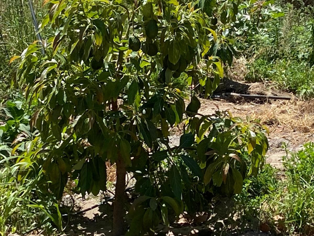 Terreno en venta en Quito, Pichincha