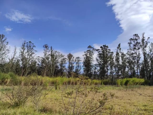Foto de Lote Terreno de Venta a 10 Minutos de Guayllabamba, 2.5 Hectáreas