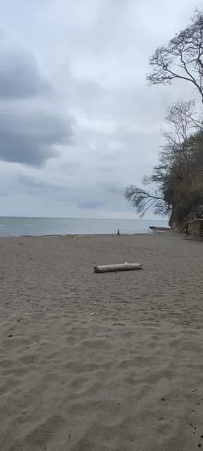 Foto de Playa Escondida Hermoso Terreno en Lotización Ecológica