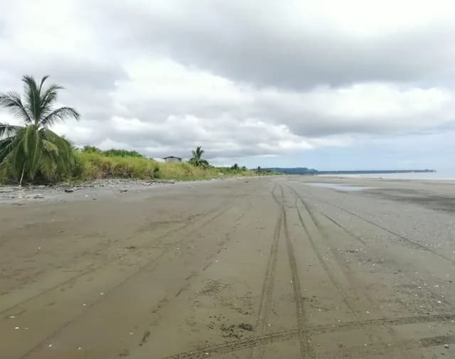 Foto de Venta - Playa - Has - Terreno - Paufi - Esmeraldas