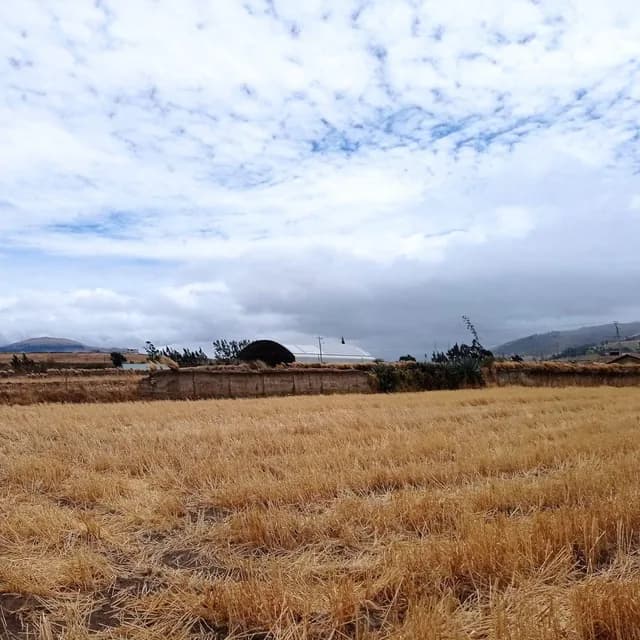 Foto de Terreno 1527 m² Esquinero Sector Olmedo, Cayambe
