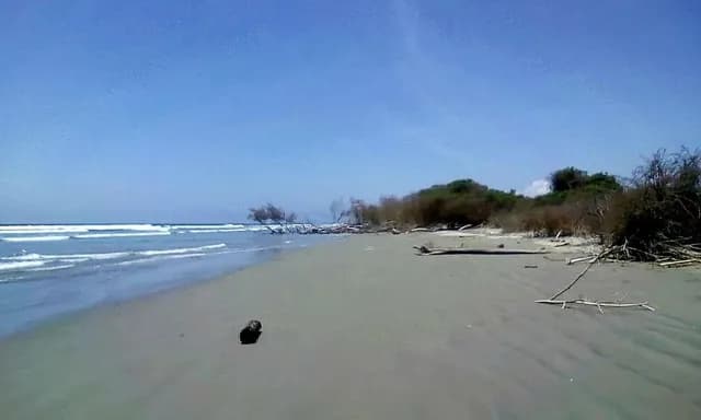 Foto de Terreno en Isla Jupiter en Venta