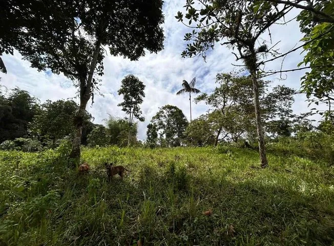 Terreno en venta en Pedro Vicente Maldonado, Pichincha