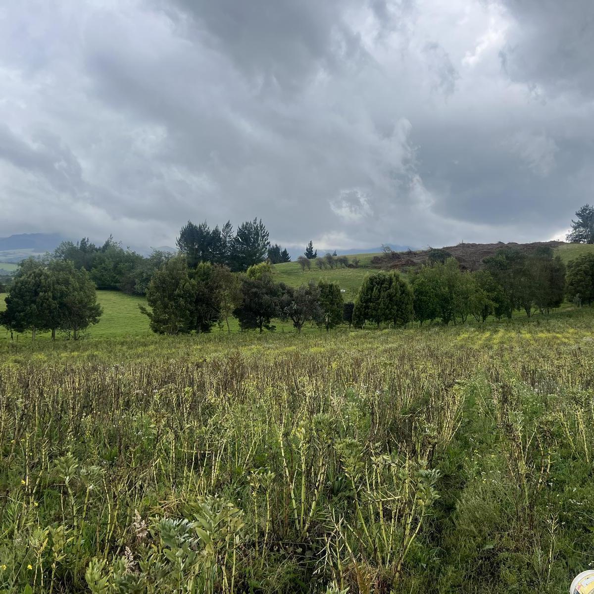 Terreno en venta en Machachi, Pichincha
