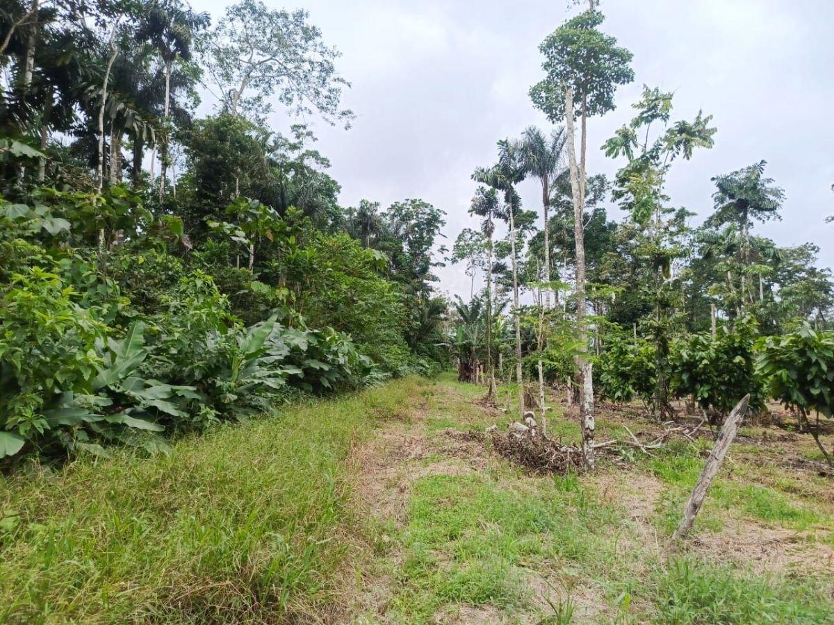 Terreno en venta en La Joya de los Sachas, Orellana