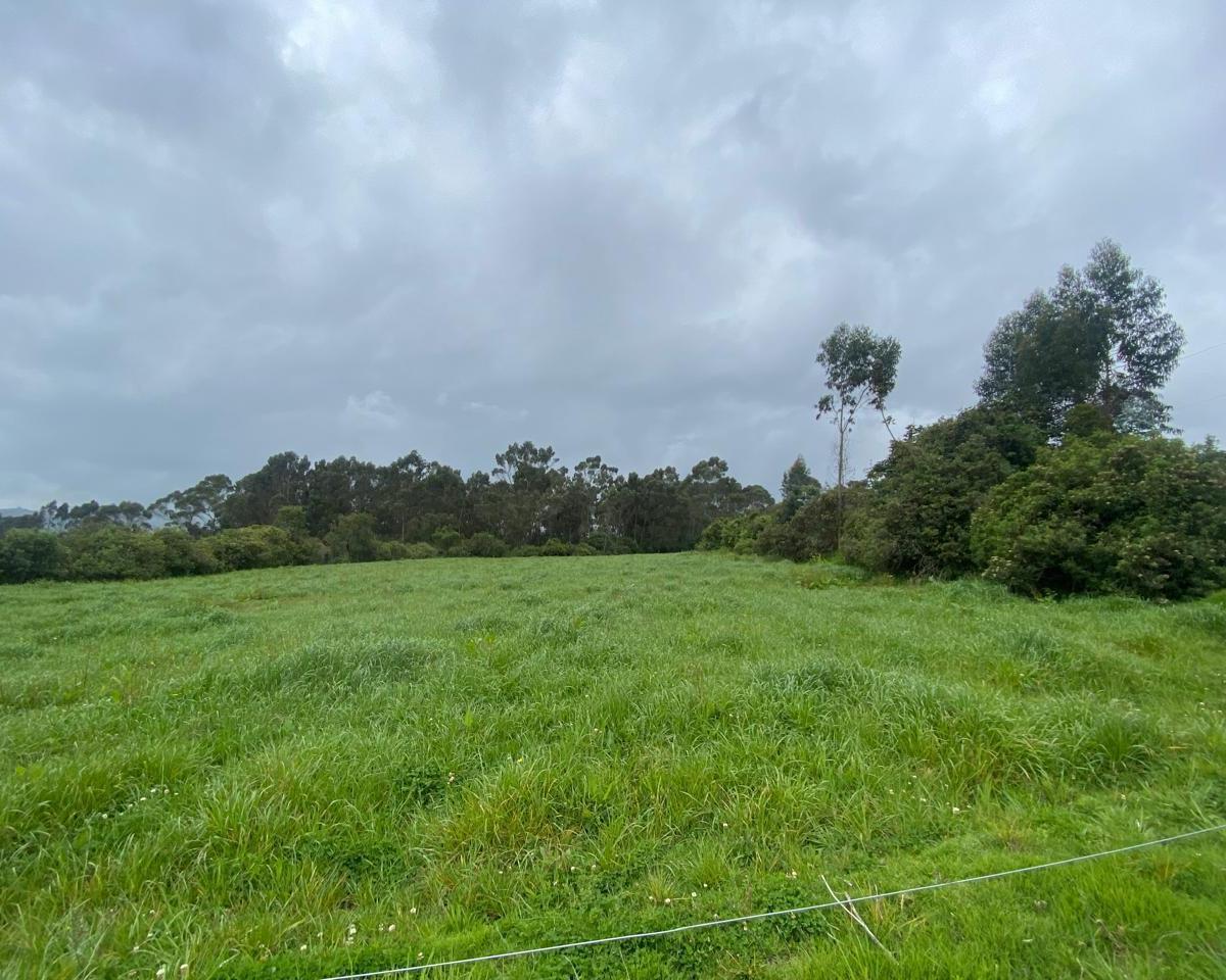 Terreno en venta en Machachi, Pichincha