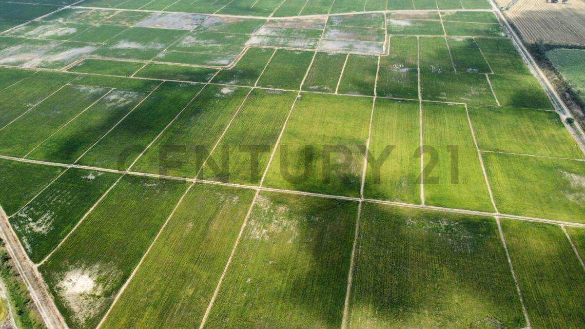 Terreno en venta en El Triunfo, Guayas