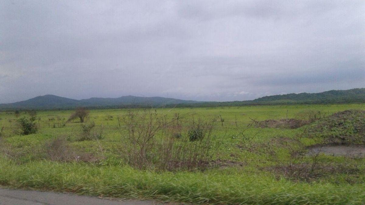 Terreno en venta en Santa Elena, Santa Elena