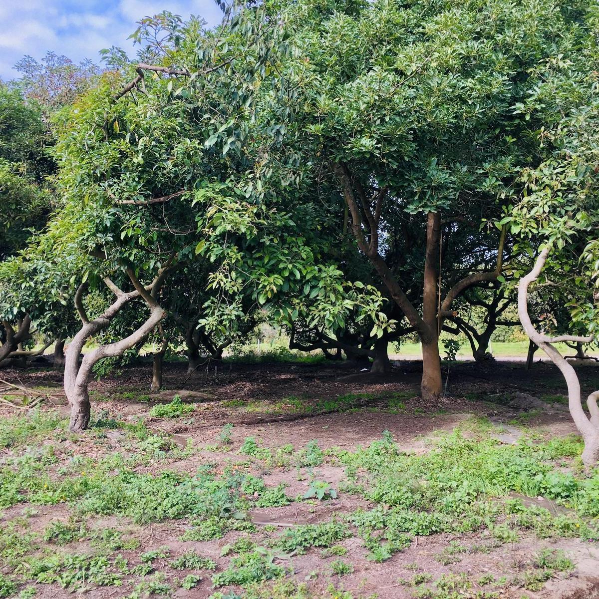 Terreno en venta en Quito, Pichincha