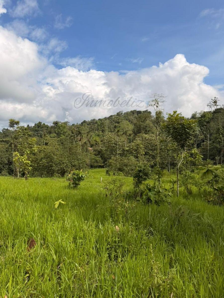 Terreno en venta en Pedro Vicente Maldonado, Pichincha