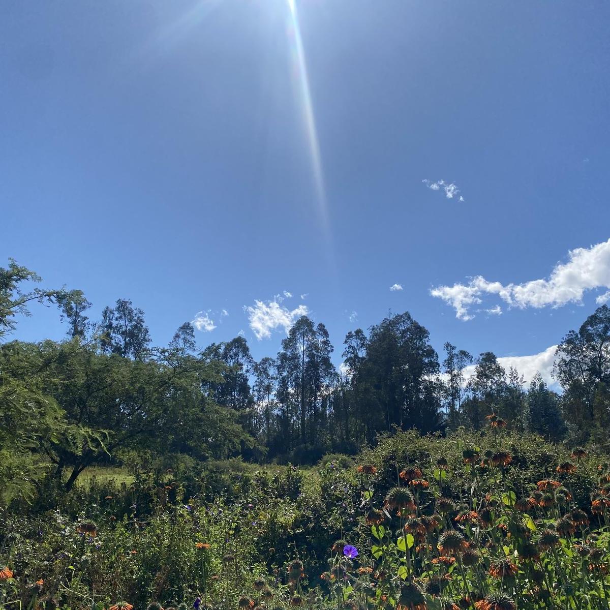 Terreno en venta en Quito, Pichincha
