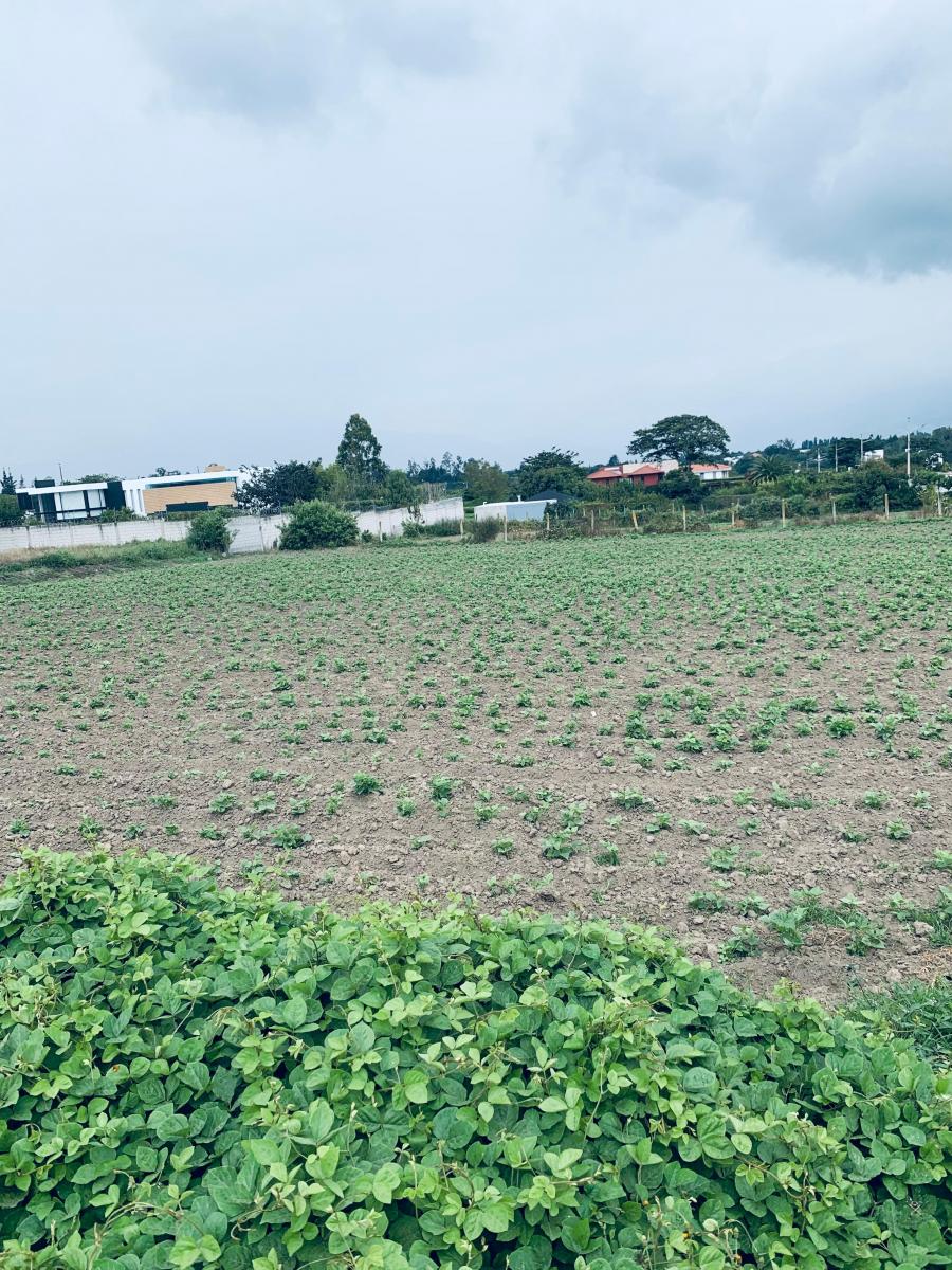 Terreno en venta en Quito, Pichincha