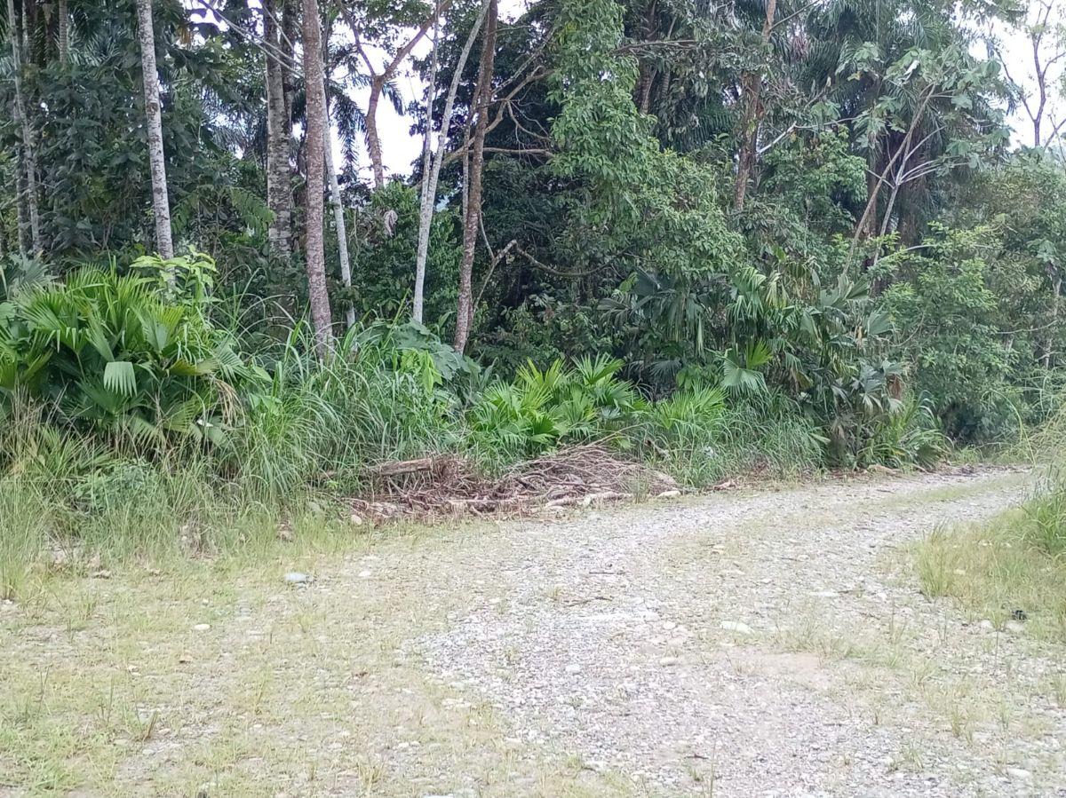 Terreno en venta en Tena, Napo