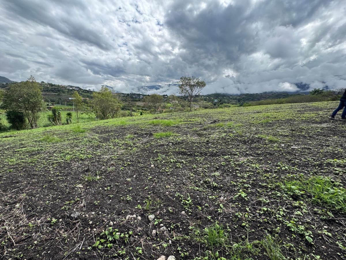 Terreno en venta en Santa Isabel, Azuay