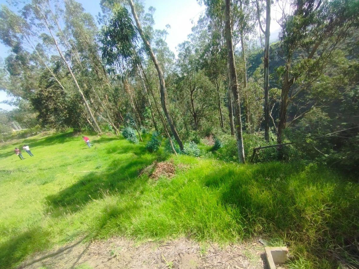 Terreno en venta en Quito, Pichincha