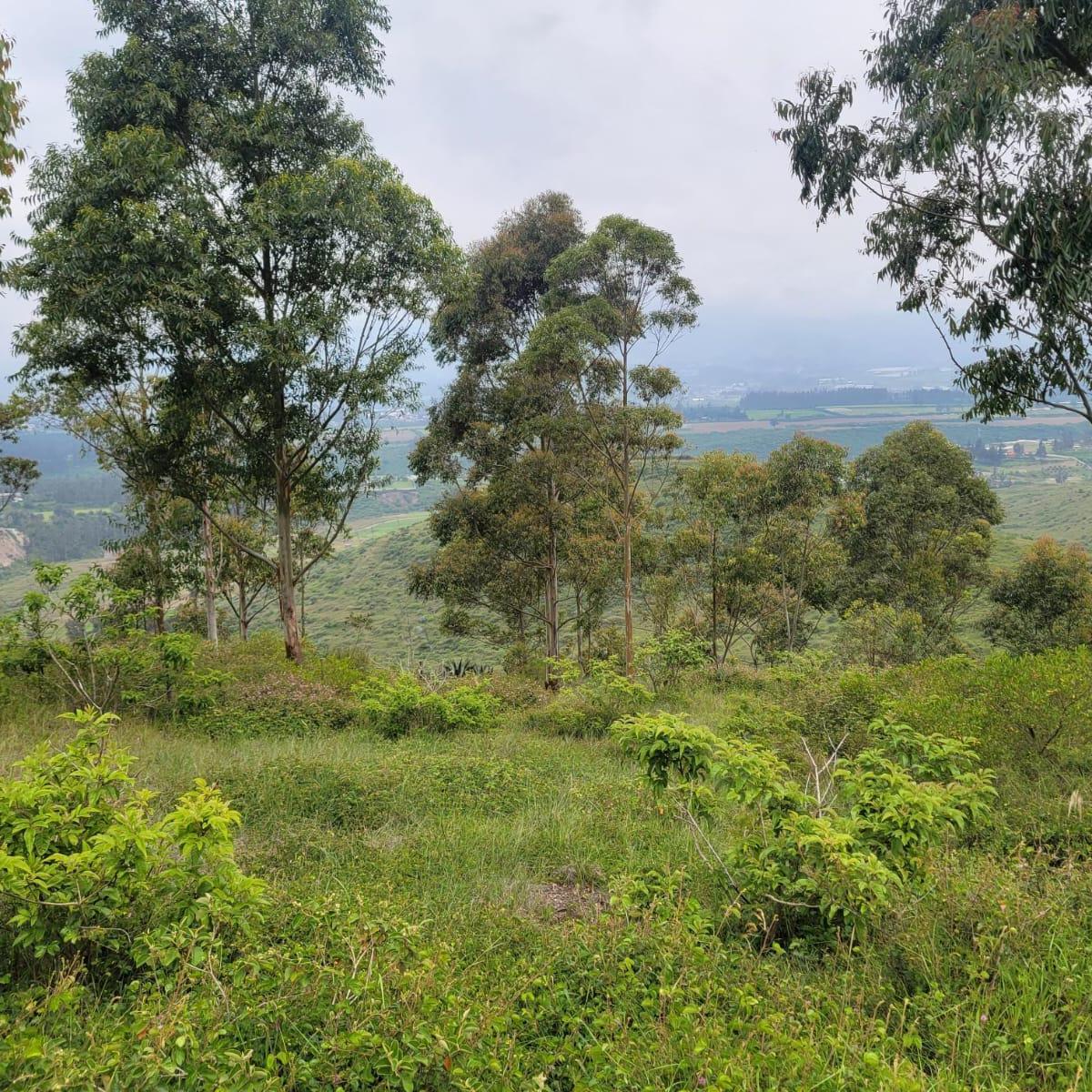 Terreno en venta en Quito, Pichincha