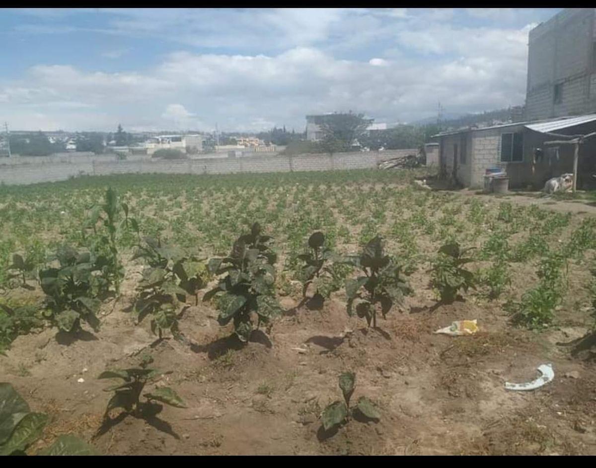 Terreno en venta en Quito, Pichincha