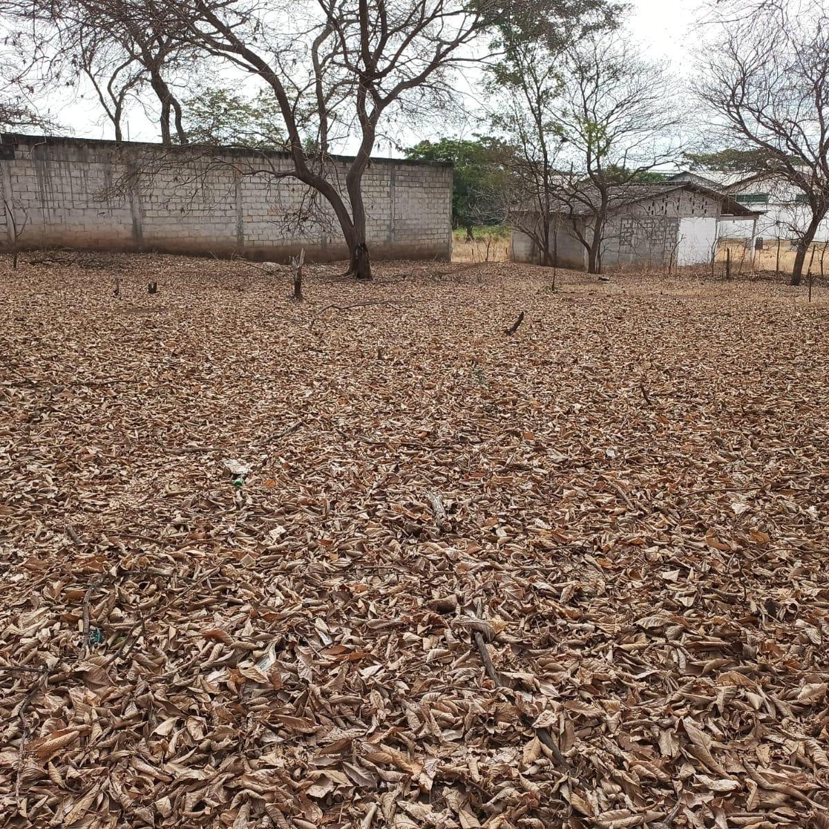 Terreno en venta en Guayaquil, Guayas