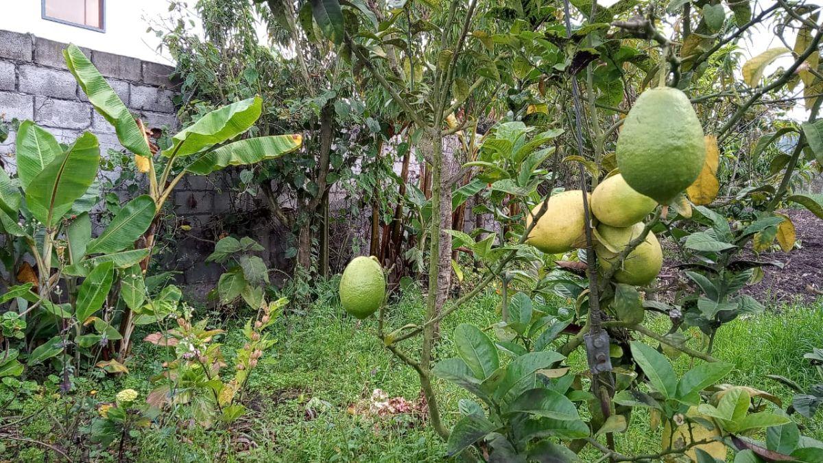 Terreno en venta en San Pedro de Pelileo, Tungurahua