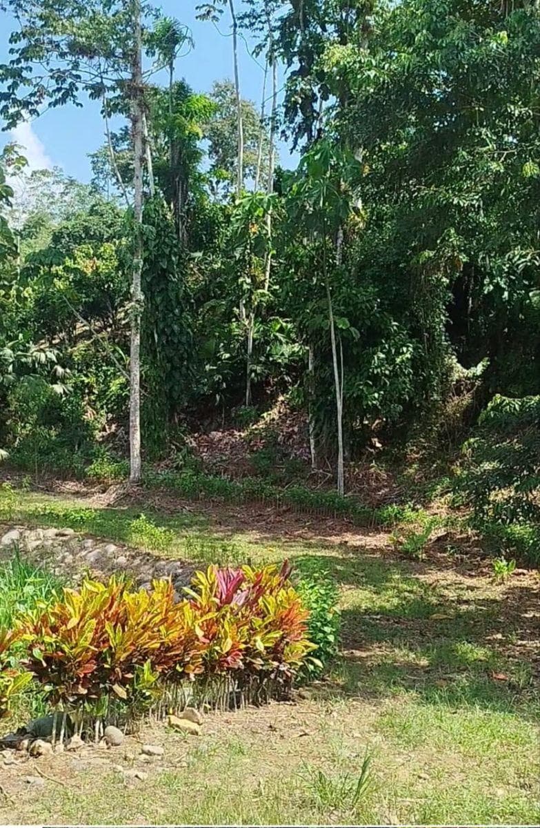 Terreno en venta en Puerto Quito, Pichincha