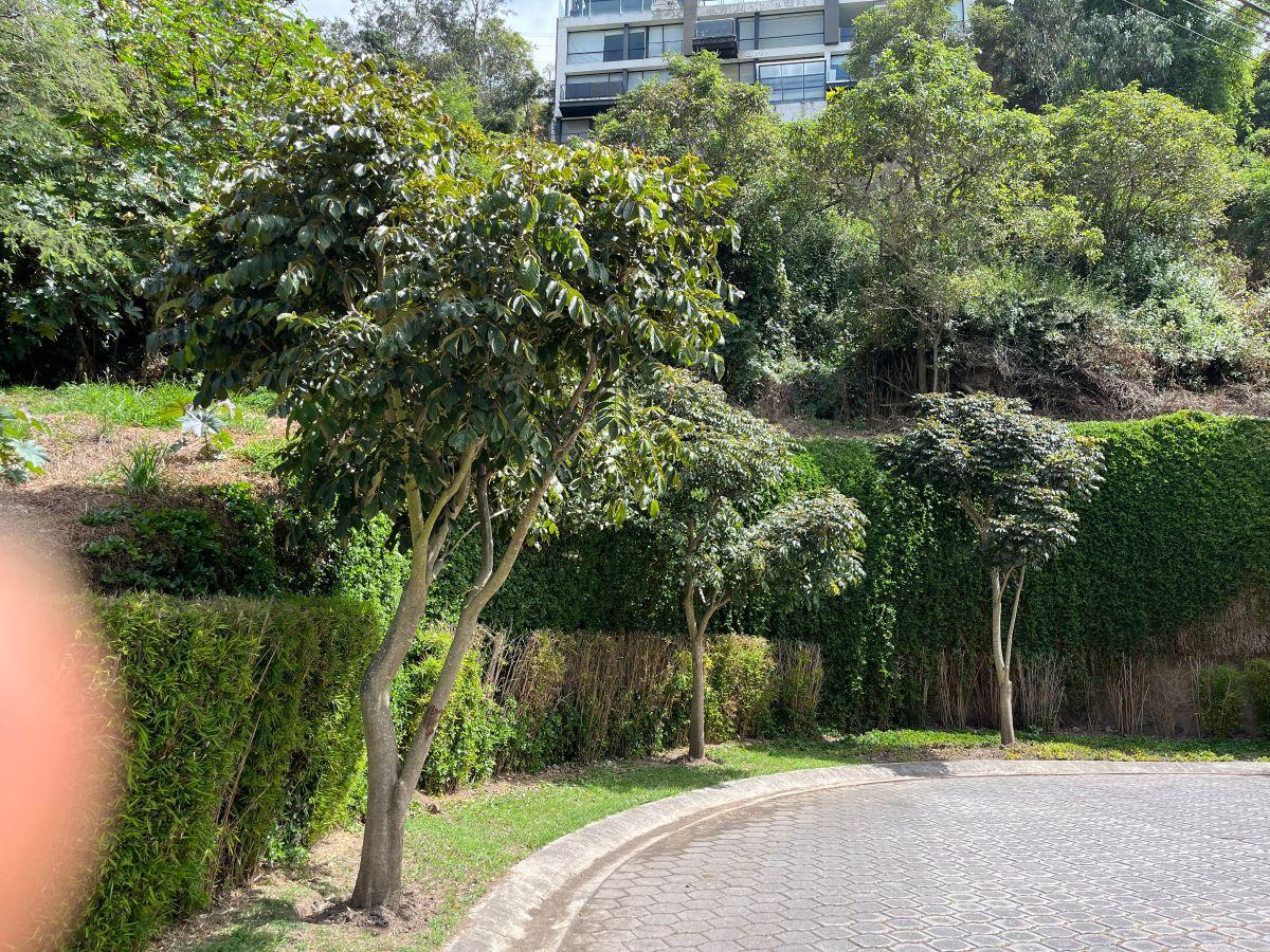 Terreno en venta en Quito, Pichincha