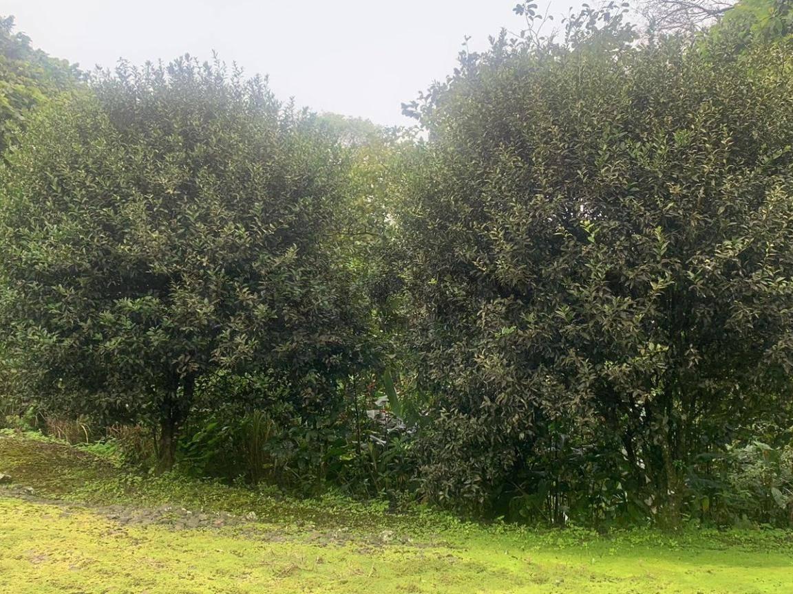 Terreno en venta en Manta, Manabí