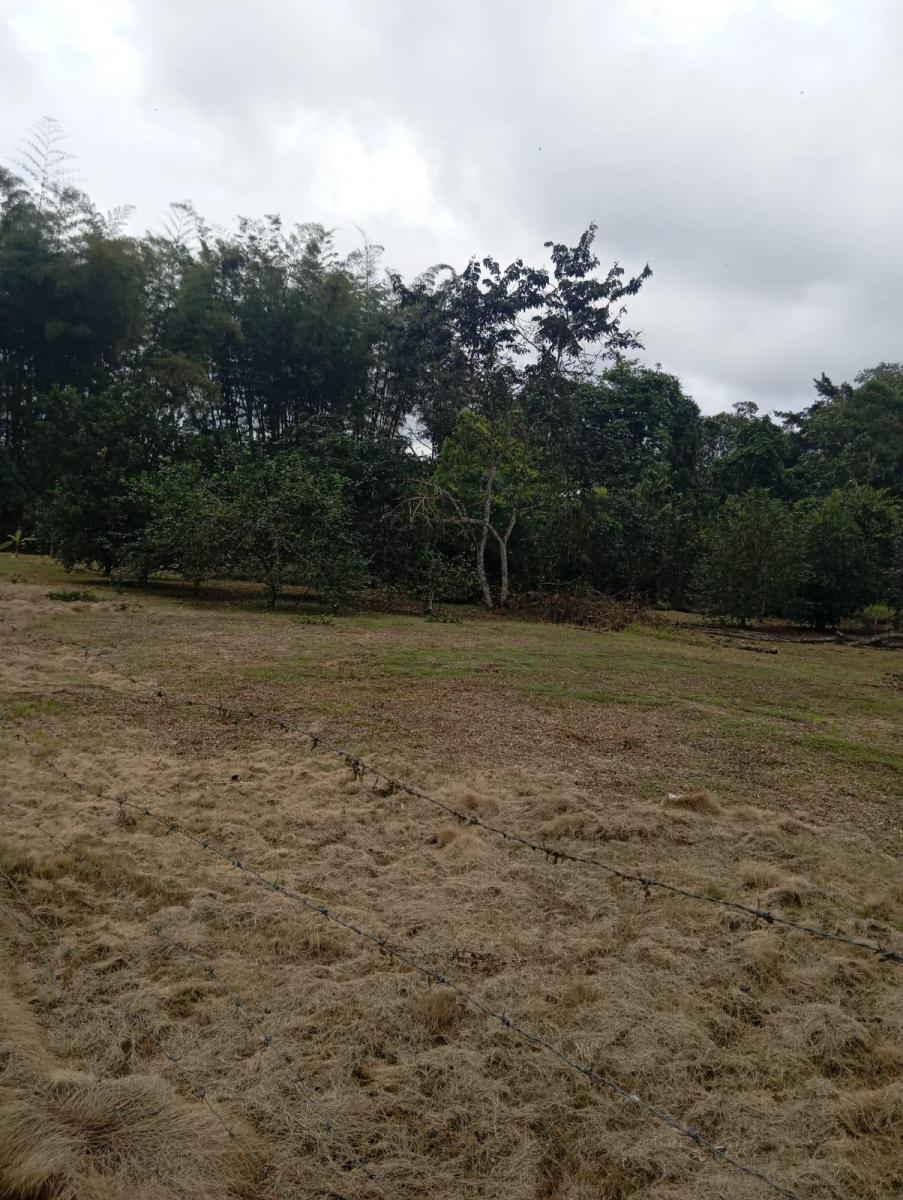 Terreno en venta en Pedro Vicente Maldonado, Pichincha