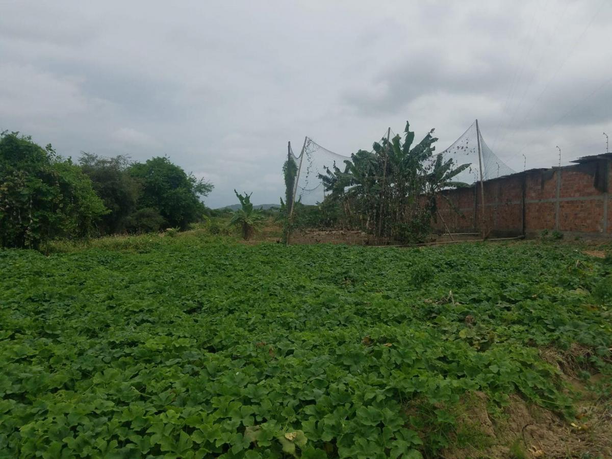 Terreno en venta en Montecristi, Manabí
