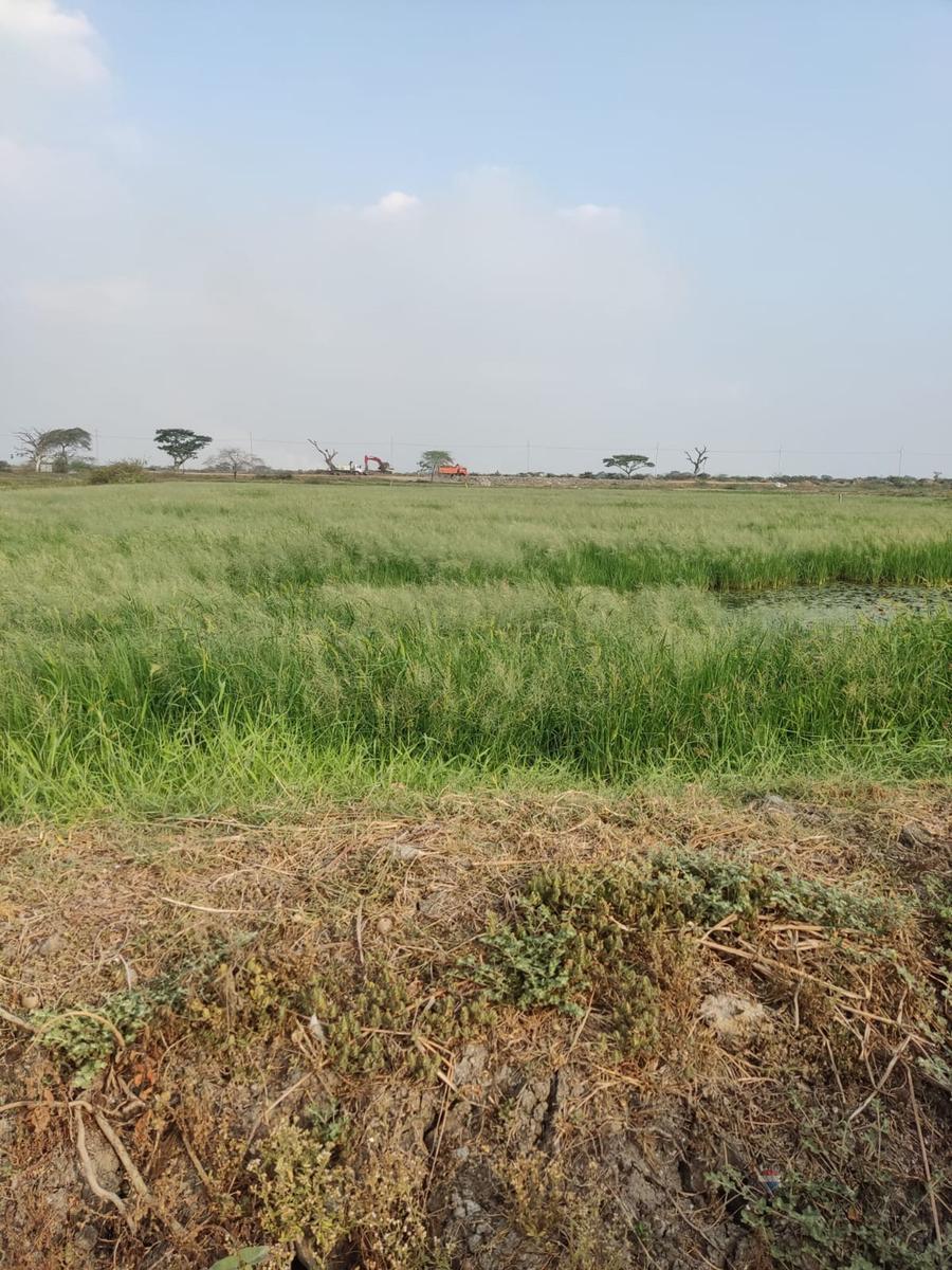 Terreno en venta en Guayaquil, Guayas