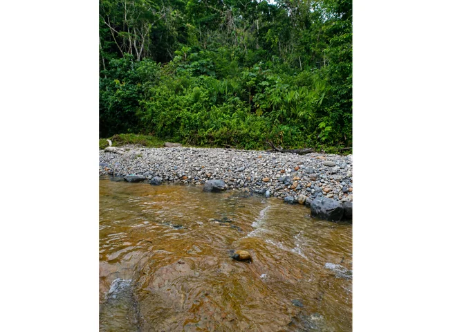 Terreno en venta en Tena, Napo