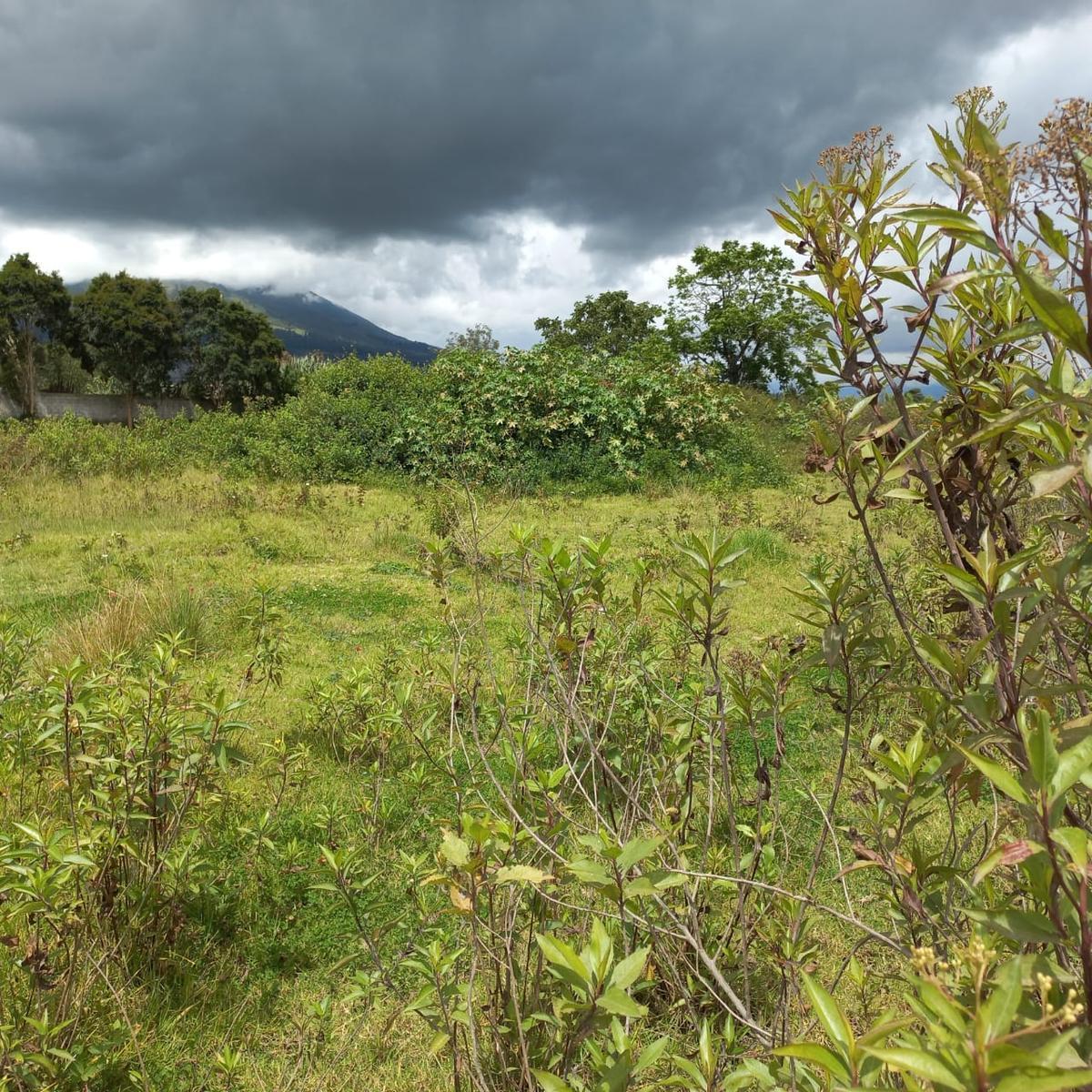 Terreno en venta en Antonio Ante, Imbabura