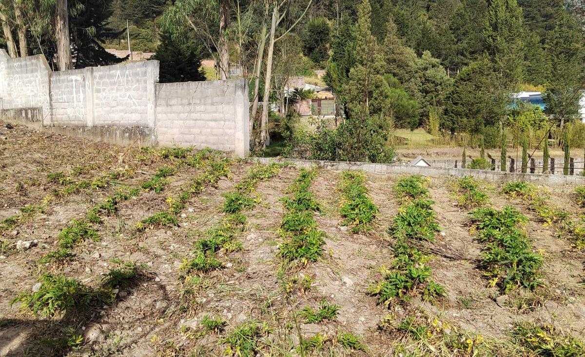 Terreno en venta en Quito, Pichincha