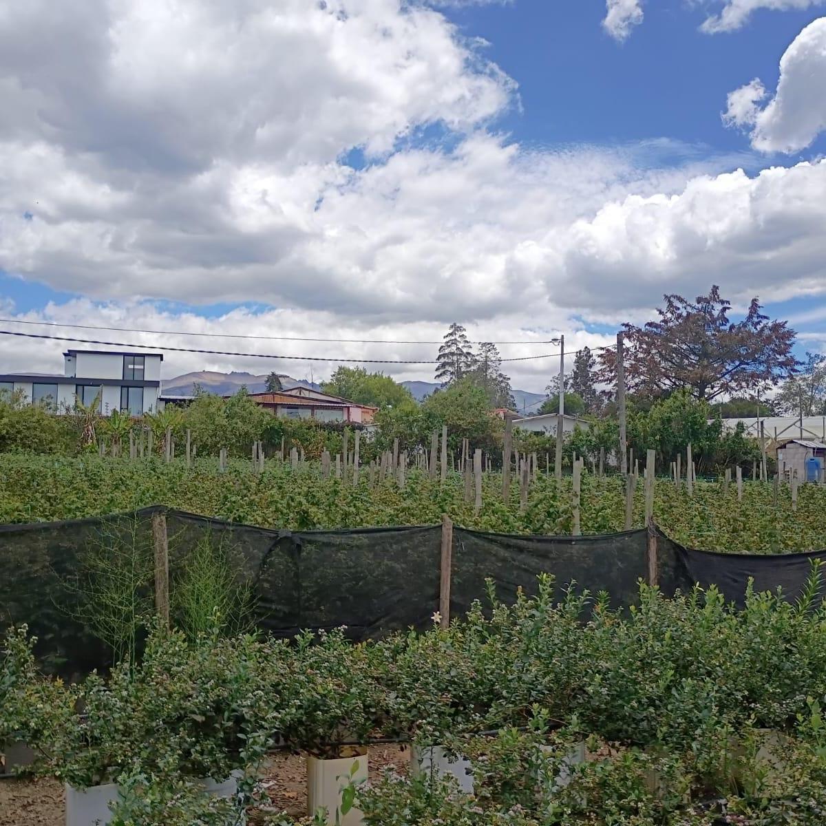 Terreno en venta en Quito, Pichincha